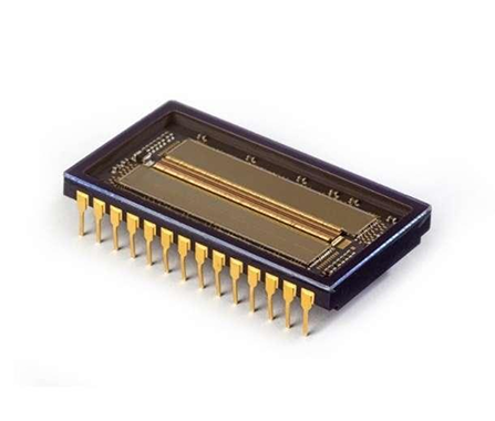 SWIR InGaAs Sensors