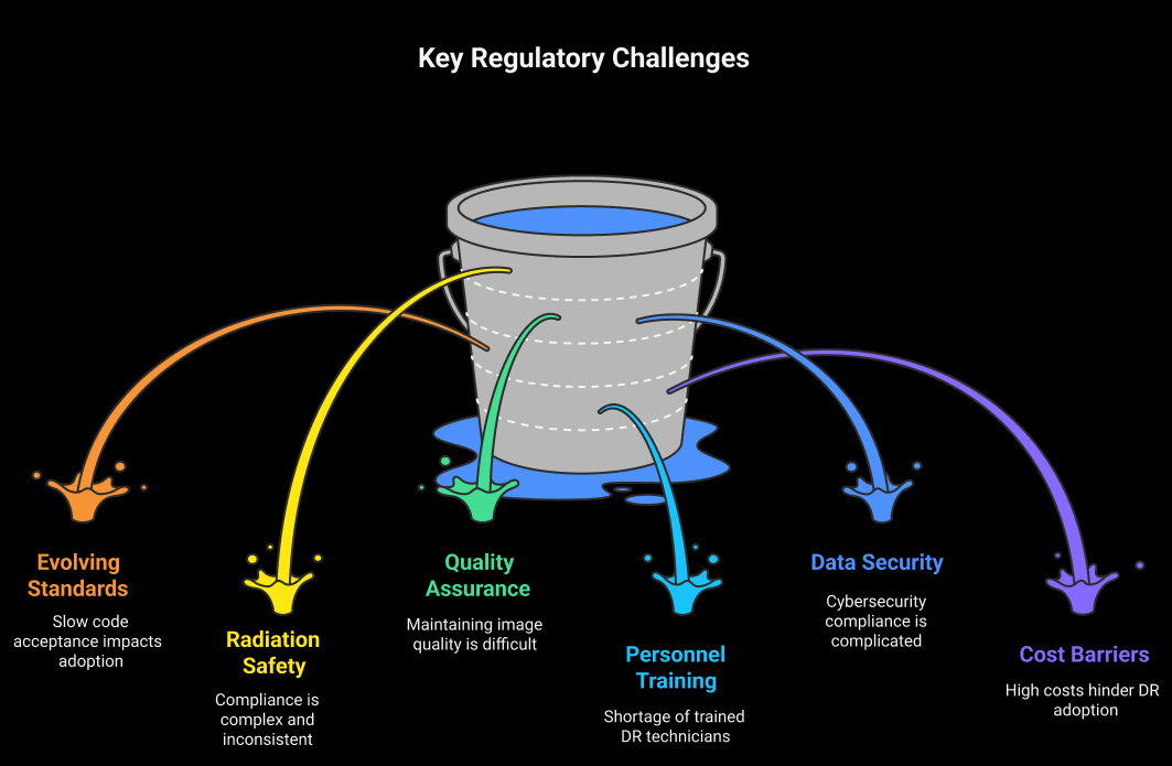 Key Regulatory Challenges